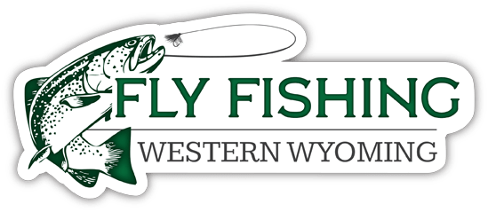 Fly Fishing Western Wyoming