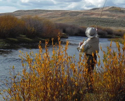 Fly Fishing Western Wyoming fly fishing guide outfitter instruction