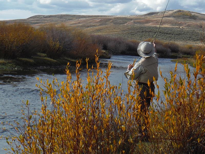 Fly Fishing Western Wyoming fly fishing guide outfitter instruction