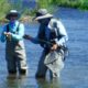 Fly Fishing Western Wyoming fly fishing guide outfitter catching blog