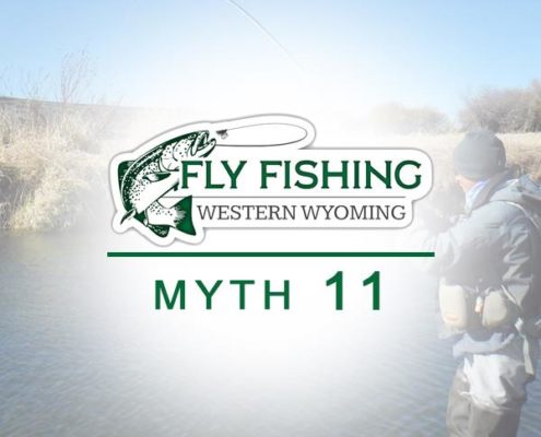 Myth 11 Fly Fishing Western Wyoming