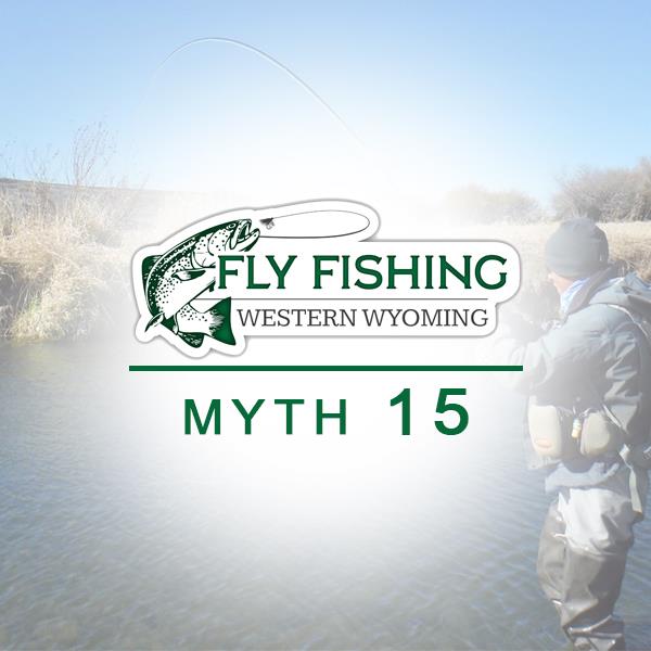 Myth 15 Fly Fishing Western Wyoming