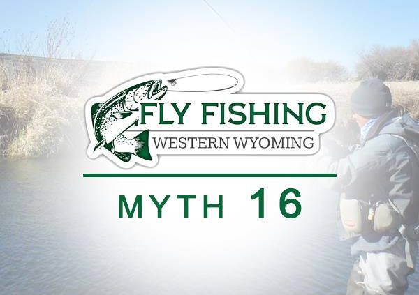 Myth 16 Fly Fishing Western Wyoming